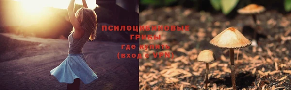 ALPHA PVP Арсеньев