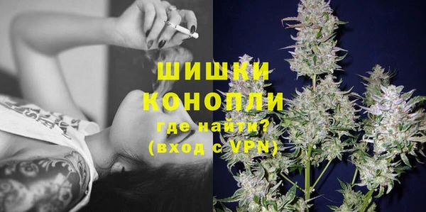 ПСИЛОЦИБИНОВЫЕ ГРИБЫ Аркадак