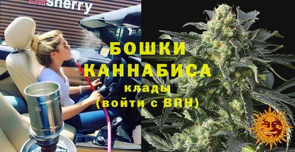 ПСИЛОЦИБИНОВЫЕ ГРИБЫ Аркадак