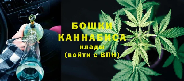 ПСИЛОЦИБИНОВЫЕ ГРИБЫ Аркадак