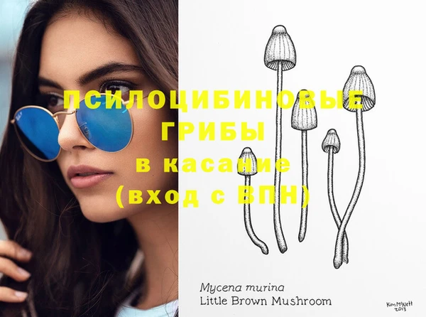 ПСИЛОЦИБИНОВЫЕ ГРИБЫ Аркадак