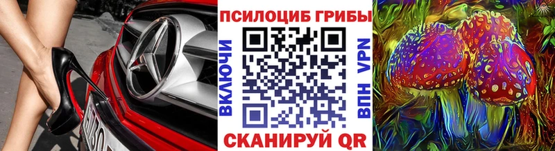 Галлюциногенные грибы Psilocybine cubensis гидра ссылки даркнет какой сайт Суздаль